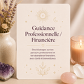 Guidance professionnelle & financière